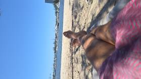 Profile picture 404003078